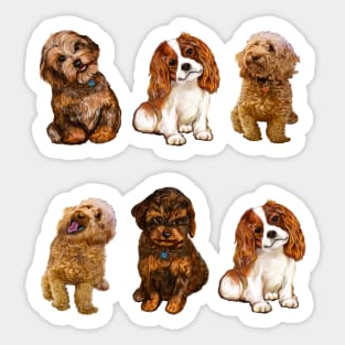 Cavapoo Cavoodle puppy pattern -puppies galore ii ! cute cavalier king charles spaniel Sticker